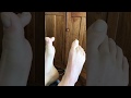 Wiggle Toes On Command