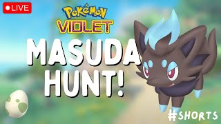 🔴 MASUDA HUNTING FOR SHINY ZORUA! | Live Stream | Pokemon Violet #shorts