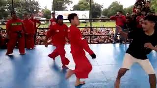 Download lagu Pencak Dor Pagar Nusa Gasmi Vs PSHT Lihat Apa Yang Terjadi!!!! mp3