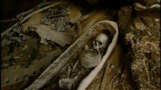 New Caledonia Travel Doc  Part 10