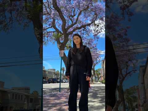 VASILE a aterizat în LA 😍