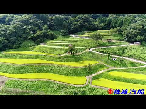 【佐渡空撮】岩首昇竜棚田