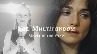 sad multifandom | ghost in the wind [TQC]