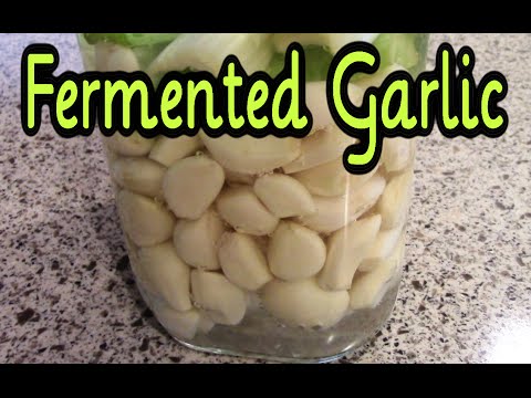 Fermented Garlic - Preserving Garlic with Fermentation