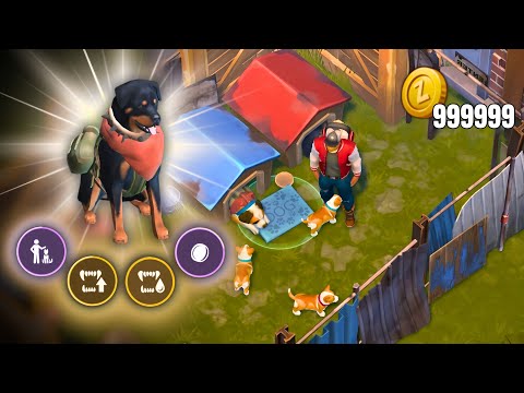 How to Get a TRUE FRIEND DOG in 2025 | Last Day On Earth Survival