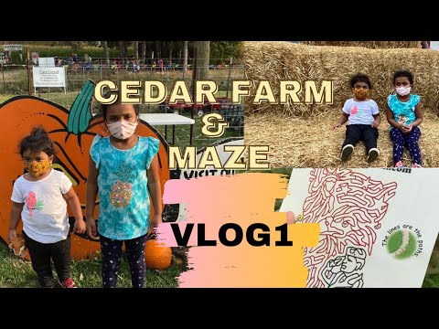 Cedar Farm | Maze | Straw Bale | VLOG #1