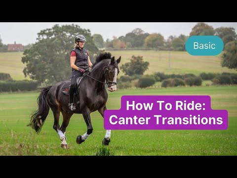 How To Ride Clear Canter Transitions with Amy Blount