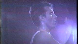 Reckless,   Australian Crawl 1986