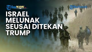 Israel Melunak Seusai Ditekan Trump? Blokade Gaza Dilonggarkan hingga Truk Bantuan Diizinkan Masuk