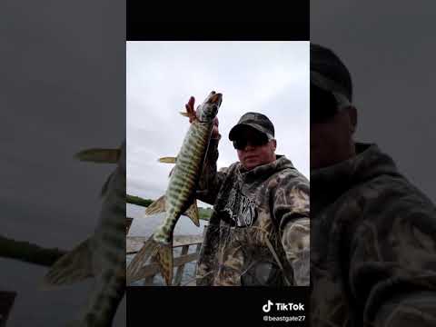 Amazing Fast Tuna Fishing Skill, Catching Fish Big on The Sea Real Fish King 11