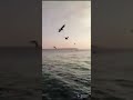 ️Umrein Lagi Kehty Howay SOng WhatsApp Status ️