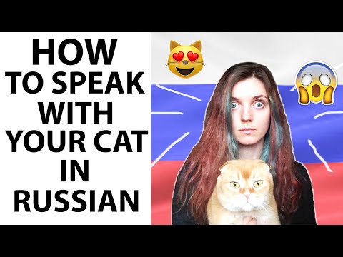 How to speak with YOUR CAT in Russian!