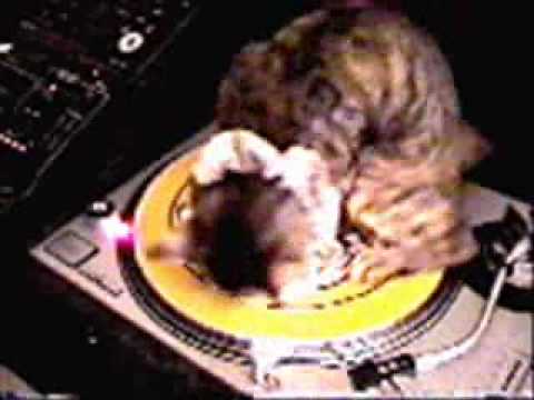 Dj Aligator Feat. Dr Alban - (1) - I Like To Move It