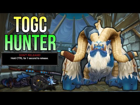 [7/23/2023] ToGC 25 Survival Hunter WotLK