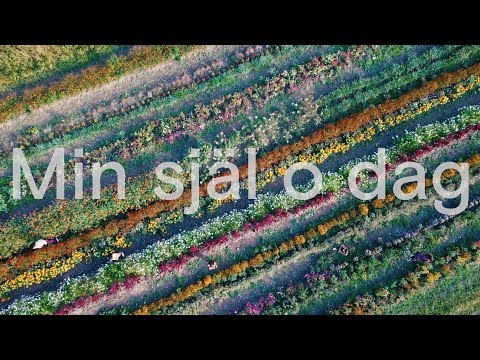 JOY - Min själ o dag (Official Video)