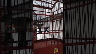 Download lagu SUARA BURUNG ROBIN BAGUS UNTUK MASTERAN#shorts mp3