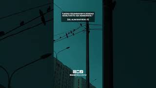 Download lagu Jangan Terlalu Bersedih #sedih #alquran #islam #religion #nasihat #storywa #story mp3