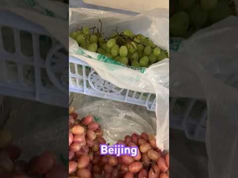 Grapes variety #viral #shorts #trending #ytshorts #ytshorts #china #visitchina #beijing
