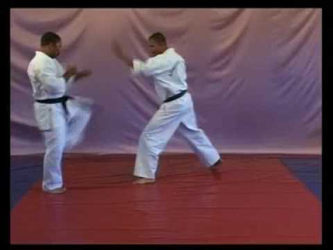 Kihon Kata Ichi Bunkai by Gakiem Hayzer and Andrew Philander