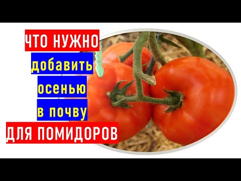 , title : 'Что нужно добавить осенью помидорам для большого урожая в следующем году?'