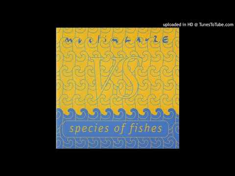 Muslimgauze vs Species Of Fishes - Untitled 5