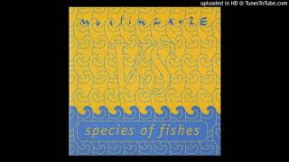 Muslimgauze vs Species Of Fishes - Untitled 5
