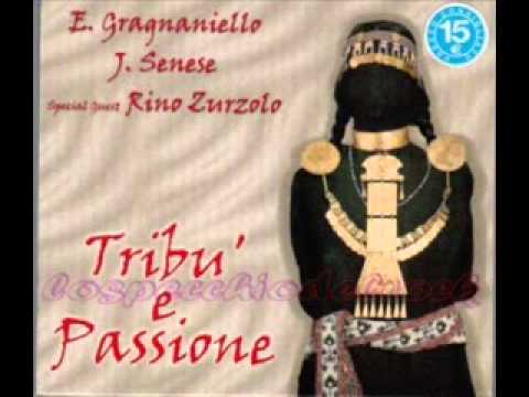Enzo Gragnaniello e James Senese - Suonne e chi