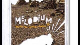 Melodium - Follow the train of thoughts