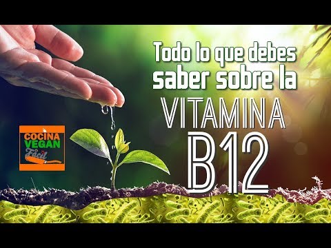Vitamina B12 (todo lo que debes saber) - Cocina Vegan Fácil