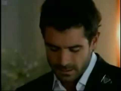 Pura Sangre Estoy Aqui