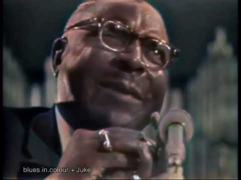 Sonny Terry & Brownie McGhee - Talkin' Harmonica Blues live [Colourised] 1964