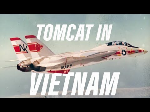 Die F-14, die in Vietnam im Einsatz waren