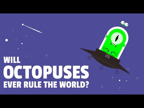 Will octopuses ever rule the world?