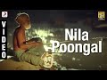 Thenmaavin Kombathu Nila Poongal Malayalam Song Video Mohanlal Shobana