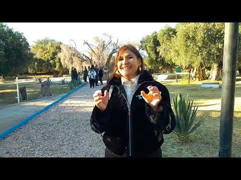 85º Fiesta Nacional de la Olivicultura #lariojaargentina #olivicultura  #noticias