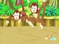 ️ The Bobo Brothers Whoops Sorry