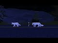 Open Up Your Eyes Music Video Warrior Cats