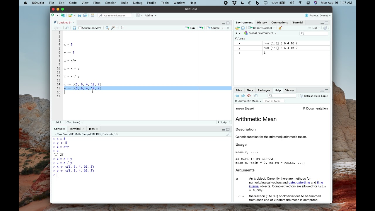 Basic & Vector Operations in R