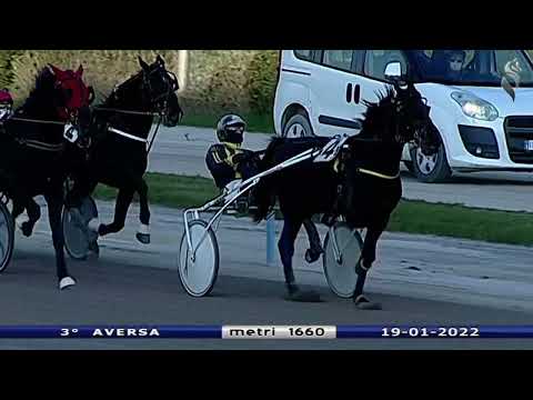Aversa trotto 19 Gennaio 2022 - 3° Corsa