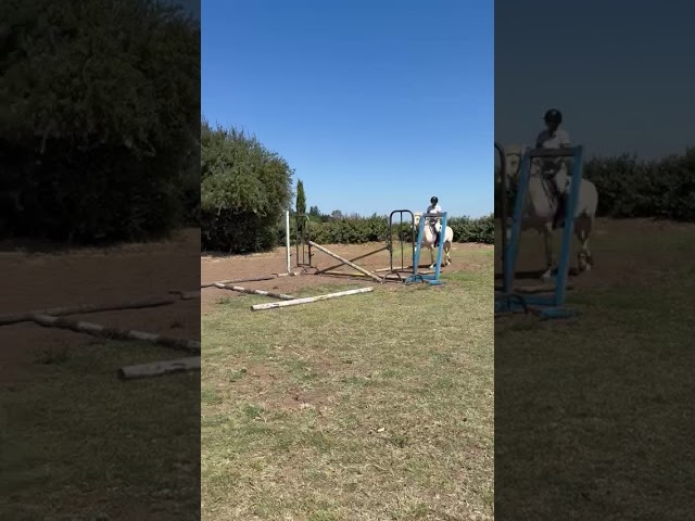 &Eacute;talon cr&egrave;me yeux bleus