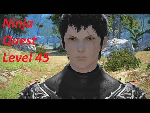 Final Fantasy 14: A Realm Reborn - Ninja Level 45 Quest