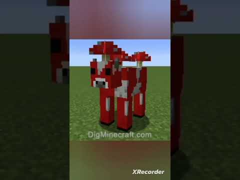 Minecraft Mobs in Real Life: Yash Gaming 05
