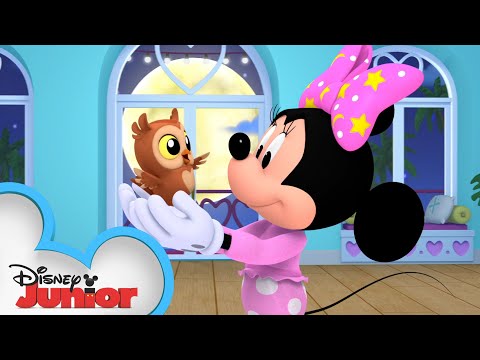 Goodnight Owl | Minnie's Bow-Toons  🎀  | @disneyjr