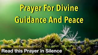 Prayer for Divine Guidance and Peace | Lord, I pray that you direct my steps and light my path