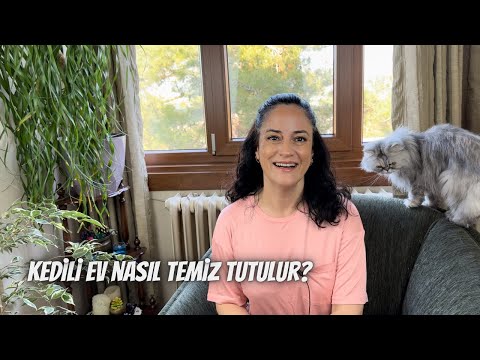 Kedili evi temiz tutmak imkansız değil! Kolayca uygulayabileceğiniz bir kaç öneri için hadi seyredin