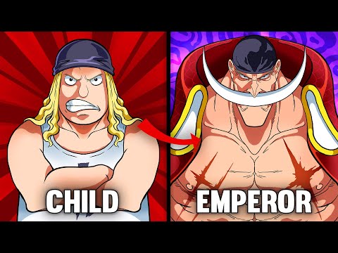 The Complete Story of Whitebeard (One Piece)