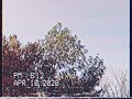 80 S Vibe Video Editing