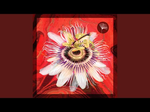 Archiejsb - Where Do We Go - Misc Originals