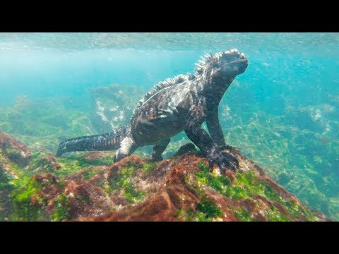 LA RESERVA: Culture, cooperation, and change in the Galápagos