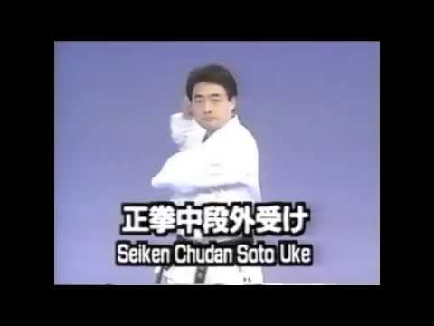 Seiken Chudan Soto Uke